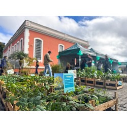 Nova Edição do Dia da Troca Consciente acontece no Sábado (09/08), na Praça do Museu